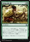 【JPN】造命師の贈り物/Lifecrafter's Gift[MTG_AER_114U]