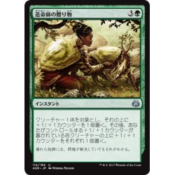 画像1: 【JPN】造命師の贈り物/Lifecrafter's Gift[MTG_AER_114U]