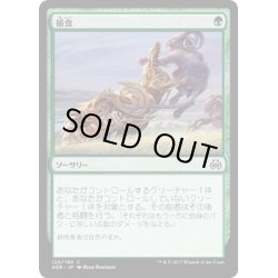 画像1: 【JPN】捕食/Prey Upon[MTG_AER_120C]