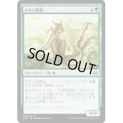 画像1: 【JPN】たかり猫猿/Scrounging Bandar[MTG_AER_124C]