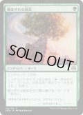 【JPN】枷はずれな成長/Unbridled Growth[MTG_AER_126C]