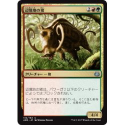 画像1: 【JPN】辺境地の猪/Outland Boar[MTG_AER_132U]