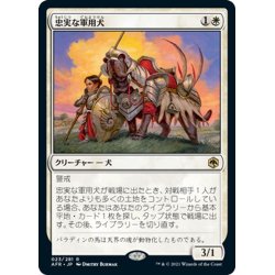 画像1: 【JPN】忠実な軍用犬/Loyal Warhound[MTG_AFR_023R]