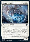 【JPN】ホワイト・ドラゴン/White Dragon[MTG_AFR_041U]