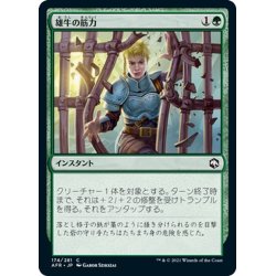 画像1: 【JPN】雄牛の筋力/Bull's Strength[MTG_AFR_174C]