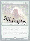 【JPN】夢の円環のドルイド/Circle of Dreams Druid[MTG_AFR_176R]