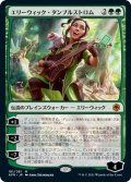 【JPN】エリーウィック・タンブルストロム/Ellywick Tumblestrum[MTG_AFR_181M]