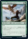 【JPN】エルターガルドのレンジャー/Elturgard Ranger[MTG_AFR_182C]