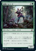 【JPN】鼓舞するバード/Inspiring Bard[MTG_AFR_189C]