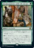 【JPN】インストゥルメント・オヴ・ザ・バーズ/Instrument of the Bards[MTG_AFR_190R]