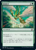 【JPN】垂直落下/Plummet[MTG_AFR_199C]