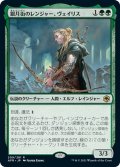 【JPN】銀月街のレンジャー、ヴェイリス/Varis, Silverymoon Ranger[MTG_AFR_209R]