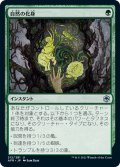 【JPN】自然の化身/Wild Shape[MTG_AFR_212U]