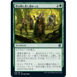 画像1: 【JPN】君は林に差し掛かった/You Happen On a Glade[MTG_AFR_214U]