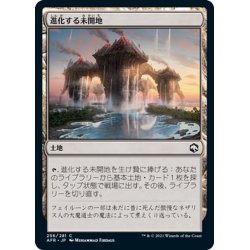 画像1: 【JPN】進化する未開地/Evolving Wilds[MTG_AFR_256C]