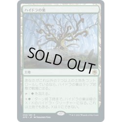 画像1: 【JPN】ハイドラの巣/Lair of the Hydra[MTG_AFR_259R]