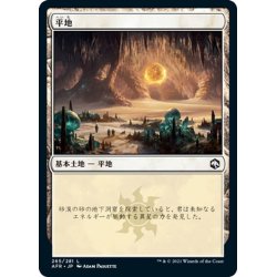 画像1: 【JPN】平地/Plains[MTG_AFR_265L]