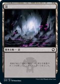 【JPN】沼/Swamp[MTG_AFR_270L]