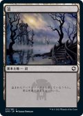 【JPN】沼/Swamp[MTG_AFR_271L]