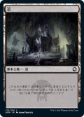 【JPN】沼/Swamp[MTG_AFR_273L]