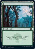 【JPN】森/Forest[MTG_AFR_279L]