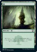 【JPN】森/Forest[MTG_AFR_280L]