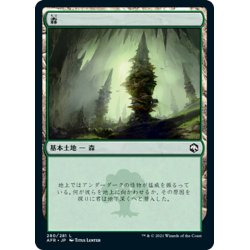 画像1: 【JPN】森/Forest[MTG_AFR_280L]