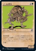 【JPN】ノールの狩人/Gnoll Hunter[MTG_AFR_326C]