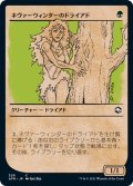 【JPN】ネヴァーウィンターのドライアド/Neverwinter Dryad[MTG_AFR_329C]