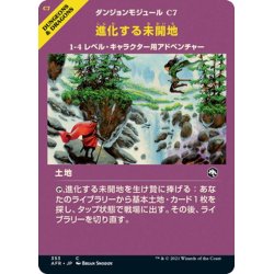 画像1: 【JPN】進化する未開地/Evolving Wilds[MTG_AFR_353C]