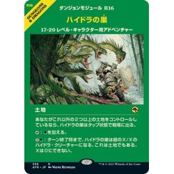 画像1: 【JPN】ハイドラの巣/Lair of the Hydra[MTG_AFR_356R]