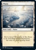 【ENG】平地/Plains[MTG_AFR_262L]