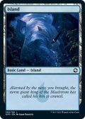 【ENG】島/Island[MTG_AFR_269L]