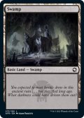 【ENG】沼/Swamp[MTG_AFR_273L]