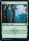 【ENG】森/Forest[MTG_AFR_279L]