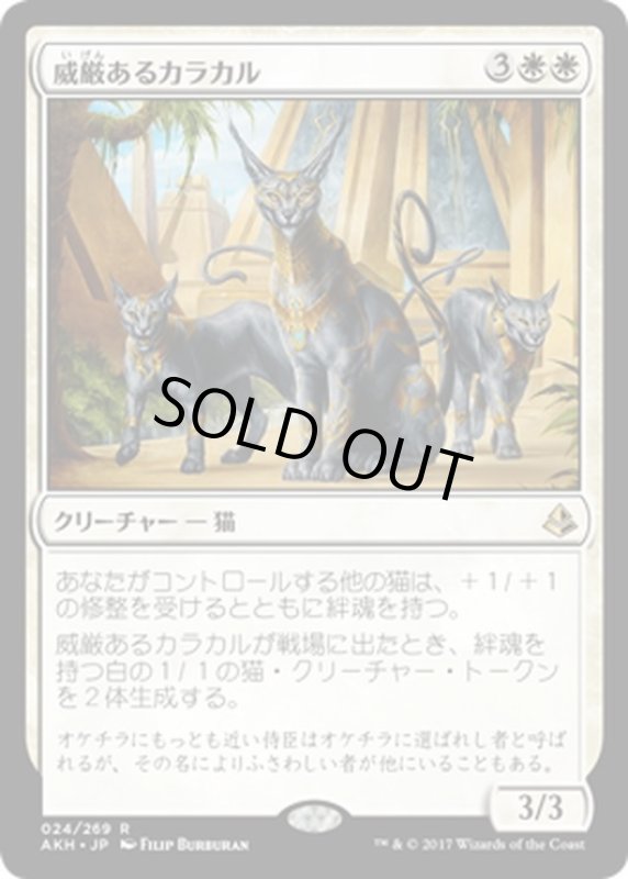 画像1: 【JPN】威厳あるカラカル/Regal Caracal[AKH_024R] (1)