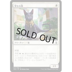 画像1: 【JPN】聖なる猫/Sacred Cat[AKH_027C]