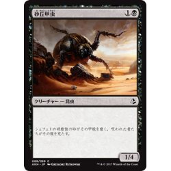 画像1: 【JPN】砂丘甲虫/Dune Beetle[AKH_089C]