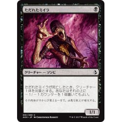 画像1: 【JPN】ただれたミイラ/Festering Mummy[AKH_091C]