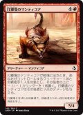 【JPN】打擲場のマンティコア/Manticore of the Gauntlet[AKH_142C]