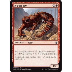 画像1: 【JPN】オナガトカゲ/Thresher Lizard[AKH_150C]