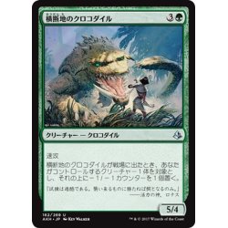 画像1: 【JPN】横断地のクロコダイル/Crocodile of the Crossing[AKH_162U]