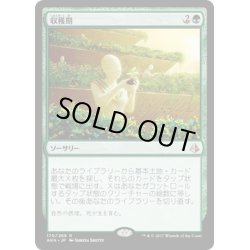 画像1: 【JPN】収穫期/Harvest Season[AKH_170R]