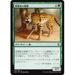 画像1: 【JPN】修練者の相棒/Initiate’s Companion[AKH_174C]