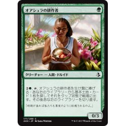 画像1: 【JPN】オアシュラの耕作者/Oashra Cultivator[AKH_177C]