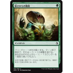 画像1: 【JPN】弱さからの脱皮/Shed Weakness[AKH_185C]