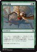 【JPN】蜘蛛の掌握/Spidery Grasp[AKH_188C]