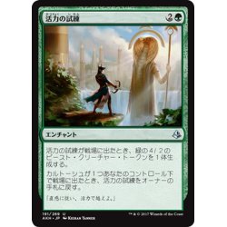 画像1: 【JPN】活力の試練/Trial of Strength[AKH_191U]