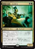 【JPN】毒物の侍臣、ハパチラ/Hapatra, Vizier of Poisons[AKH_199R]