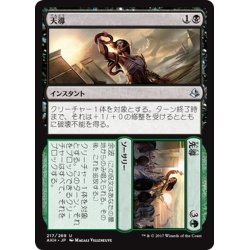 画像1: 【JPN】天導+先導/Destined+Lead[AKH_217U]